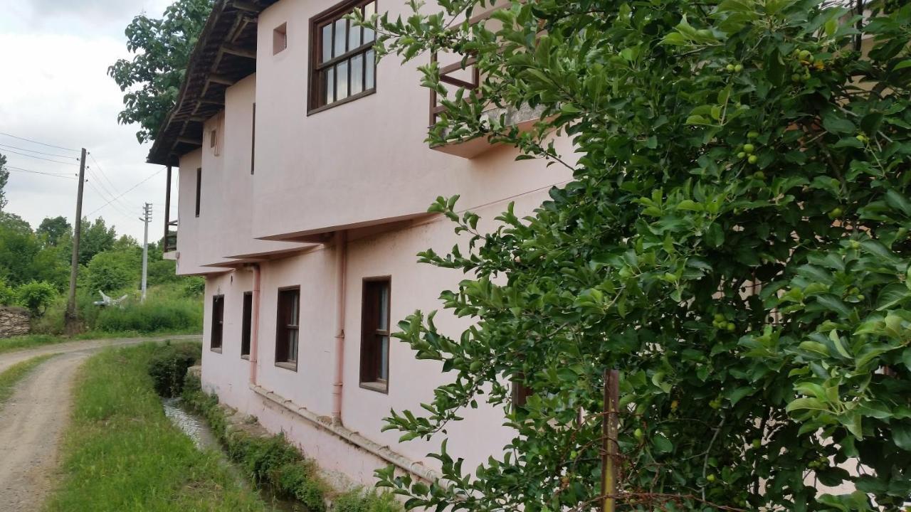 Elmas Pansiyon Karacasu  Dış mekan fotoğraf